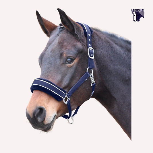 CAVEZZA BUSSE IDEAL - BLU