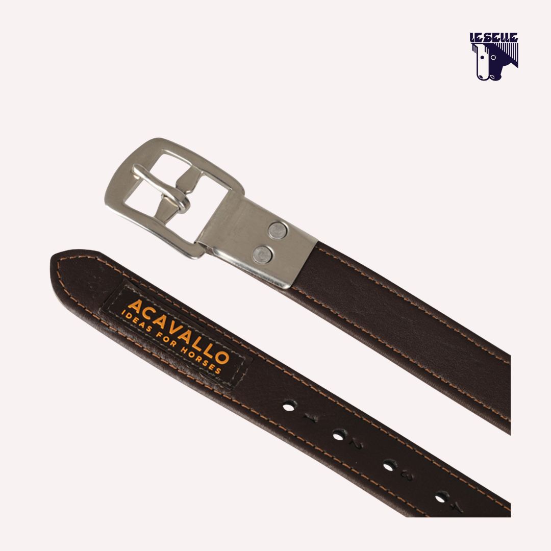 BROWN HORSE STIRRUP LEATHER