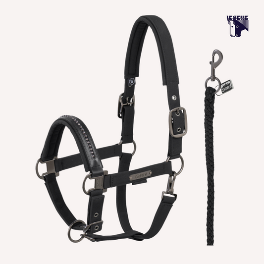 CAVEZZA E LUNGHINA ESKADRON SOFTSHELL PEARL - NERO