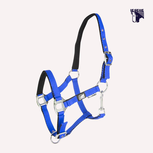 CAVEZZA PULEDRO IMBOTTITA SOFT TOUCH SUPREME - ROYAL