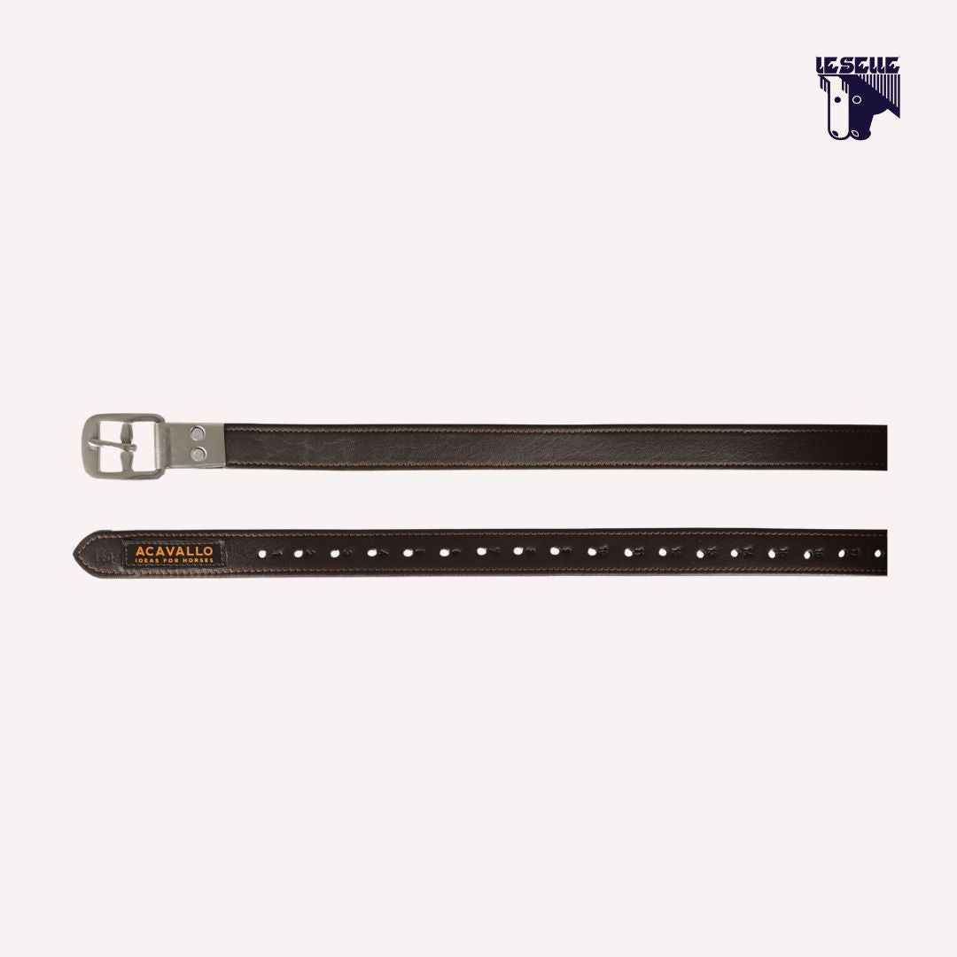 BROWN HORSE STIRRUP LEATHER