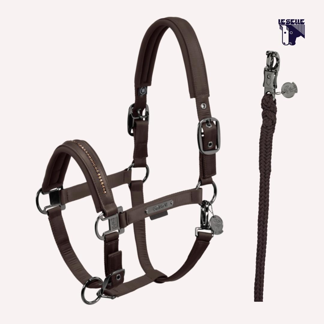 CAVEZZA E LUNGHINA ESKADRON GLOSSY CRYSTAL - MARRONE