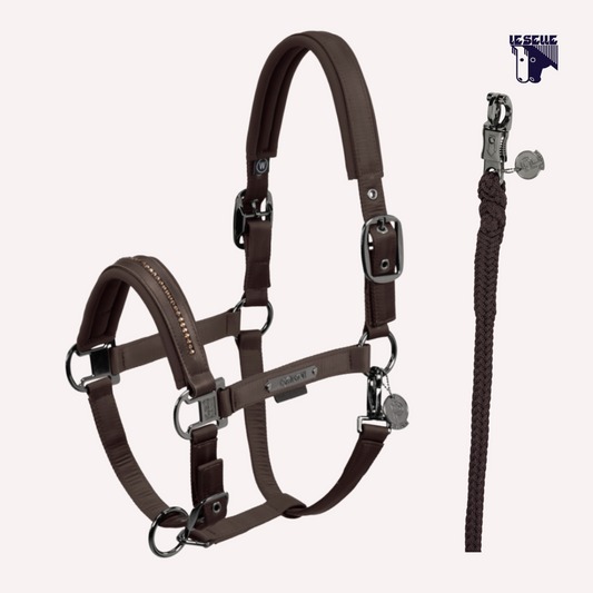 CAVEZZA E LUNGHINA ESKADRON GLOSSY CRYSTAL - MARRONE