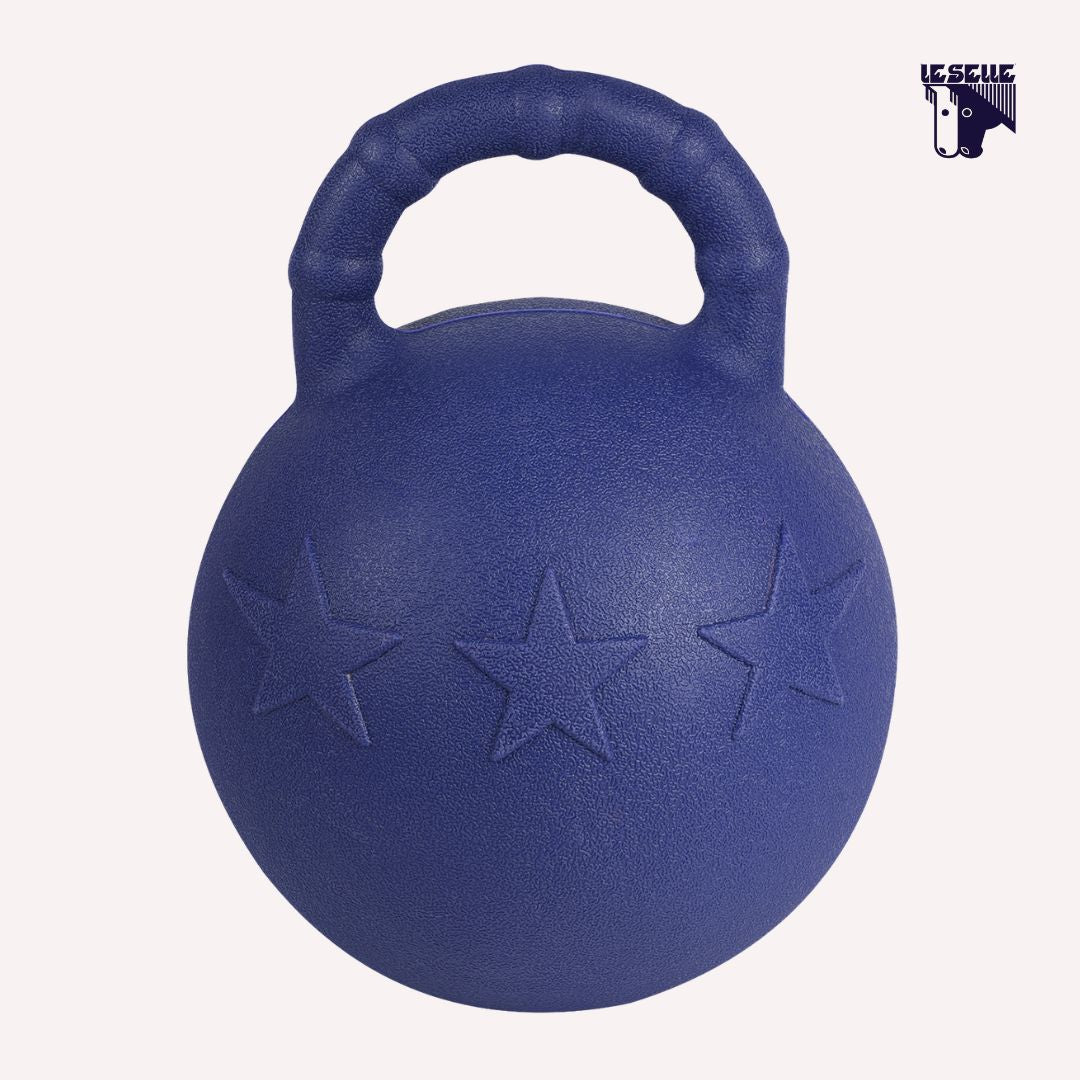 FUN BALL WALDHAUSEN