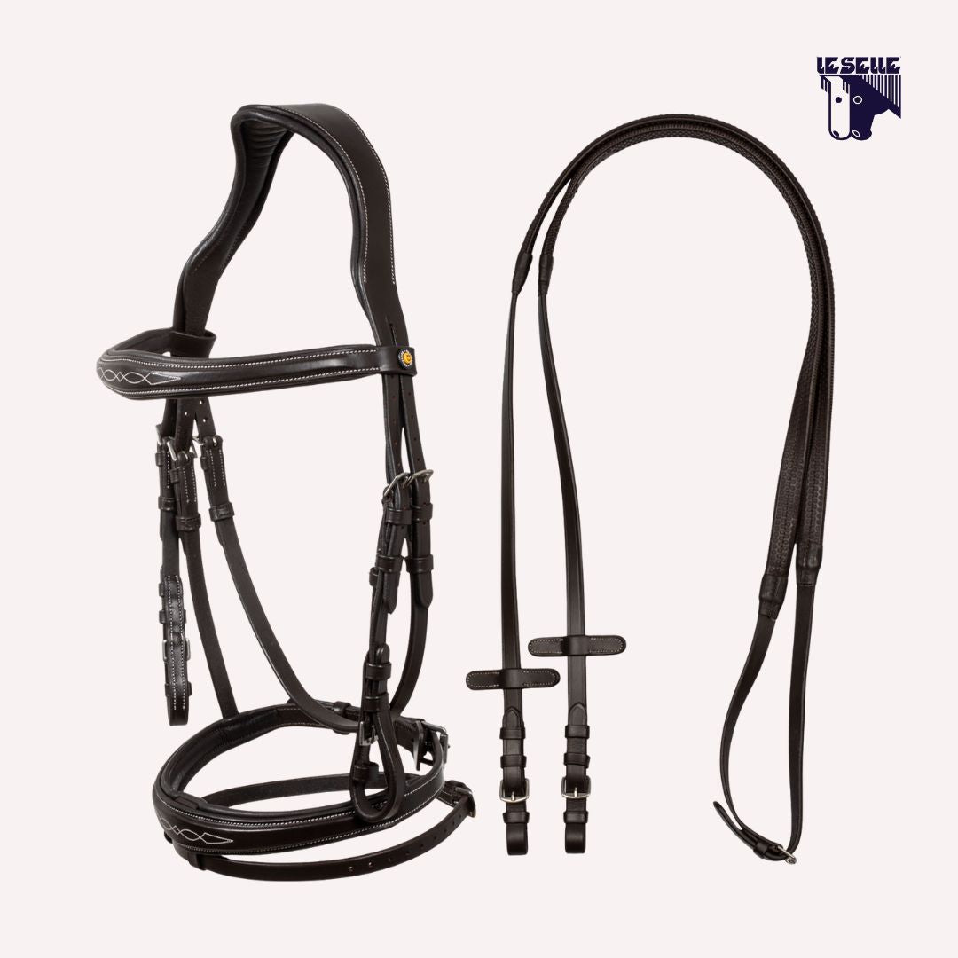 TESTIERA EQUESTRO RICAMI - MARRONE