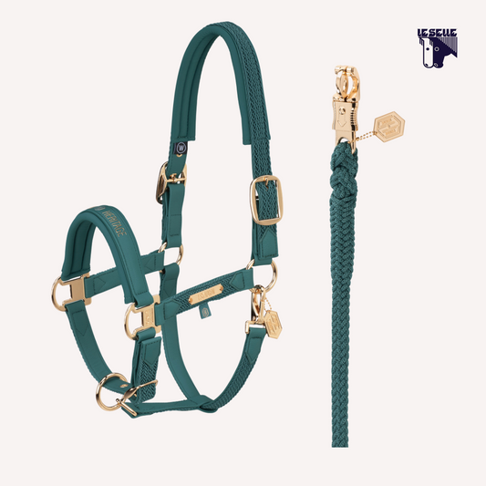 CAVEZZA E LUNGHINA ESKADRON FAUX LEATHER HERITAGE - VINTAGE GREEN