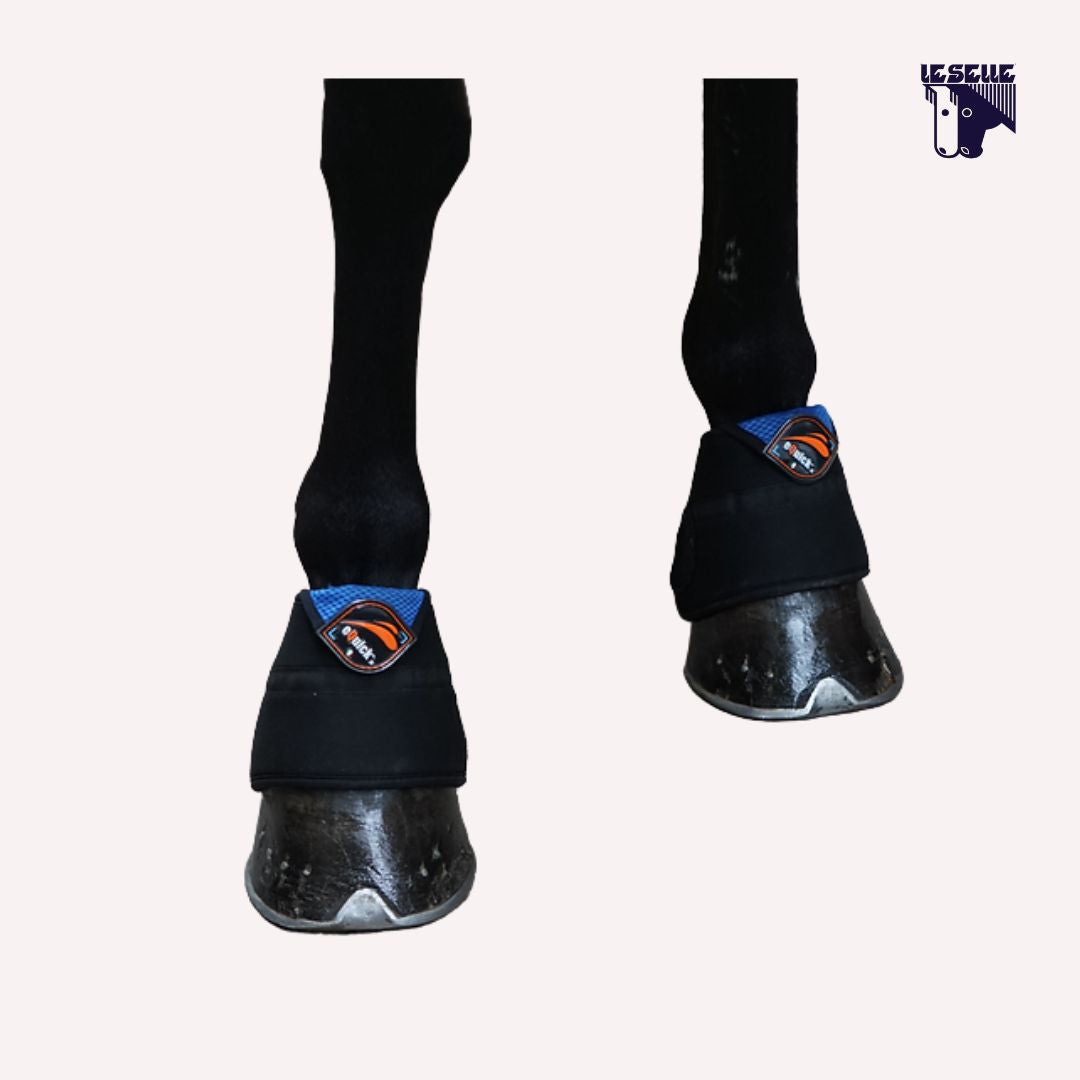 EARTIK COOLING BELLS BOOTS EQUICK - NERO