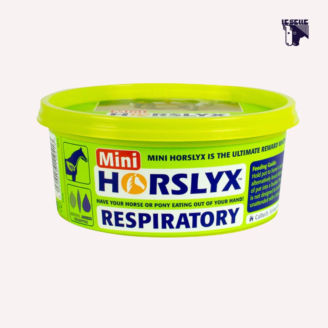 HORSLYX RESPIRATORY MINI 650G