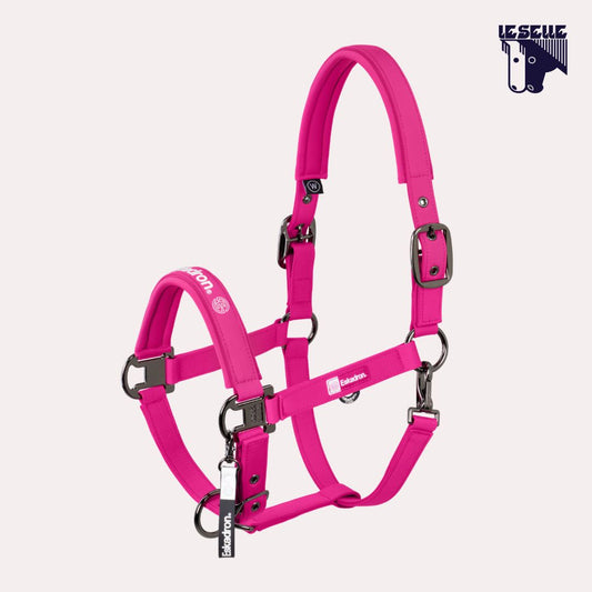 CAVEZZA E LUNGHINA ESKADRON SOFTSHELL - FUXIA