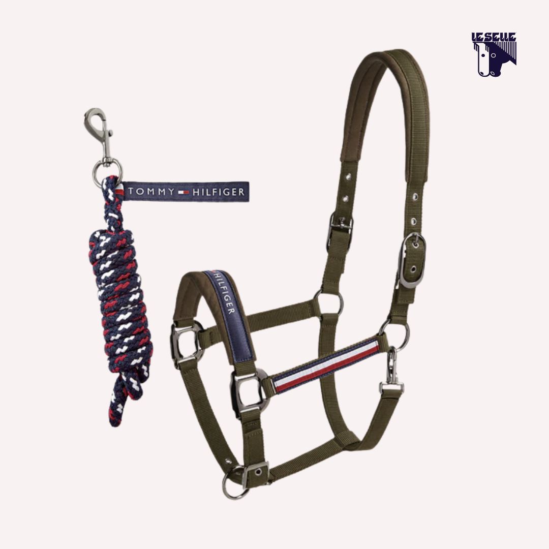 CAVEZZA E LUNGHINA TOMMY HILFIGER YALE - OLIVA