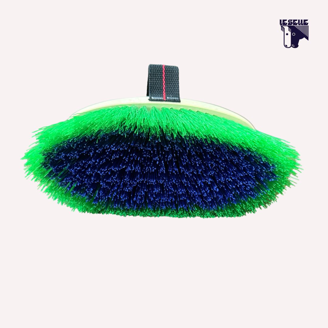 BRUSCA SETOLE ALTE UMBRIA EQUITAZIONE - VERDE/BLU