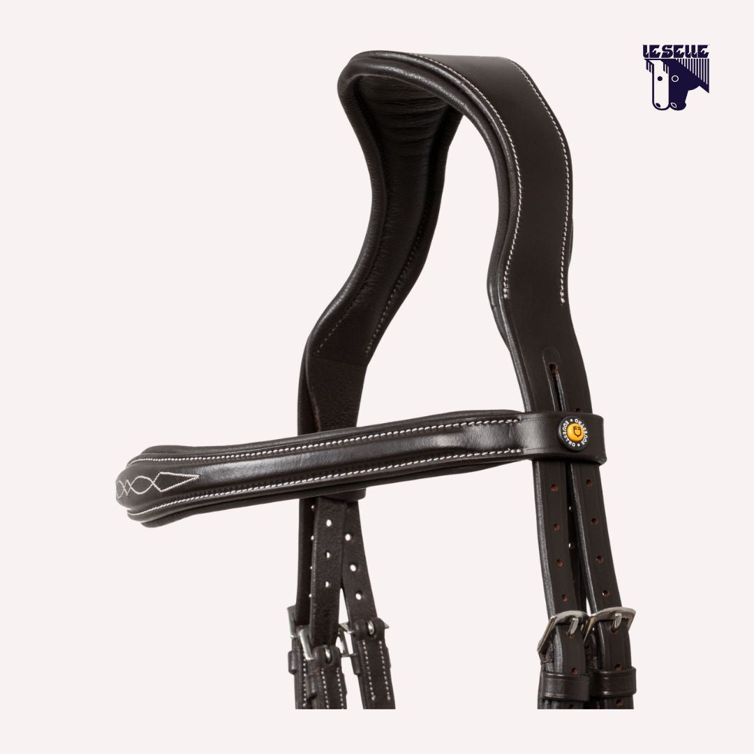 TESTIERA EQUESTRO RICAMI - MARRONE