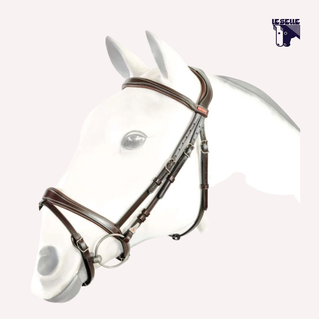 TESTIERA FLASH ANATOMICA CON SOPRACAPO ERGONOMICO EQUIPE - MARRONE