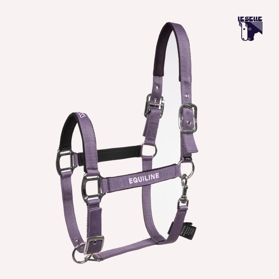 CAVEZZA E LUNGHINA EQUILINE EQCALONG - MAUVE