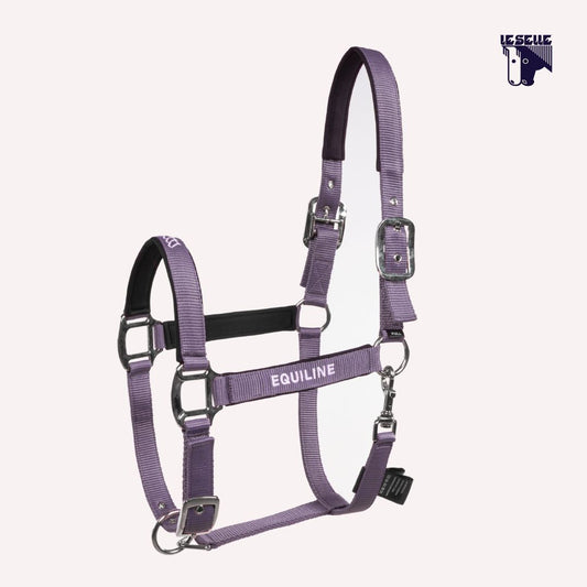 CAVEZZA E LUNGHINA EQUILINE EQCALONG - MAUVE