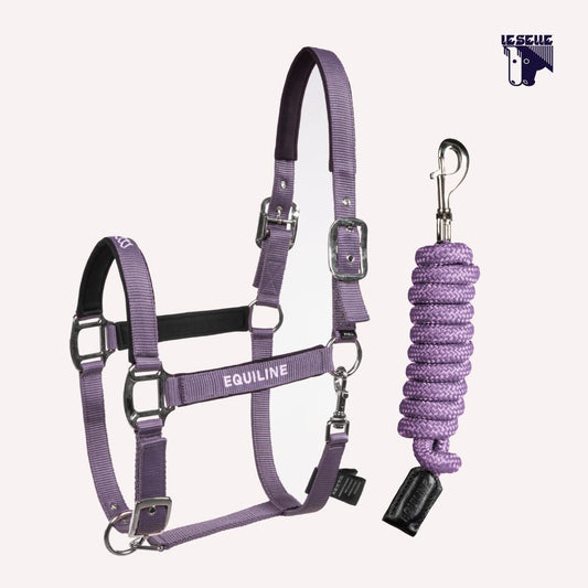 CAVEZZA E LUNGHINA EQUILINE EQCALONG - MAUVE