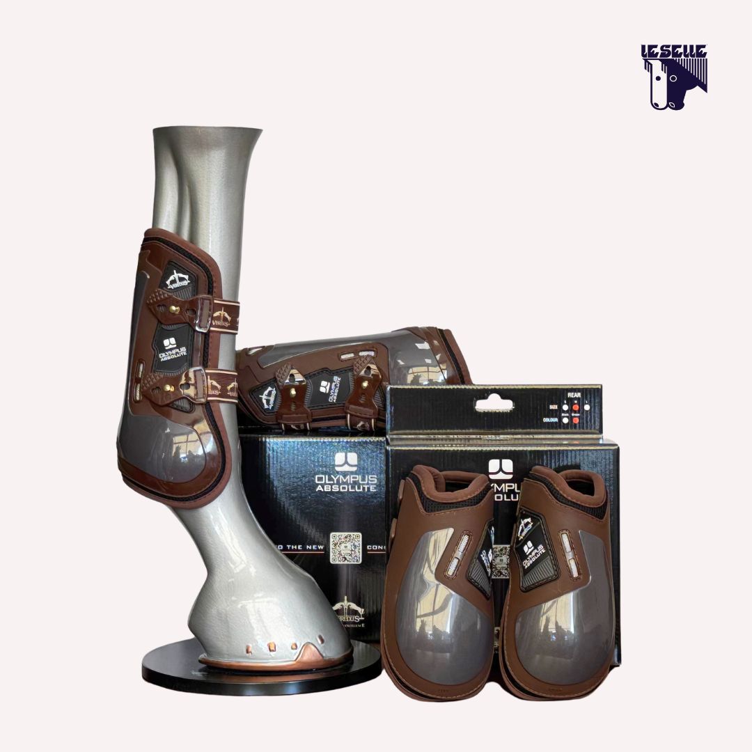 PARATENDINI E PARANOCCHE OLYMPUS ABSOLUTE - MARRONE