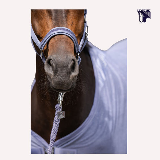 CAVEZZA E LUNGHINA ESKADRON OFTSHELL JEWEL - INDACO