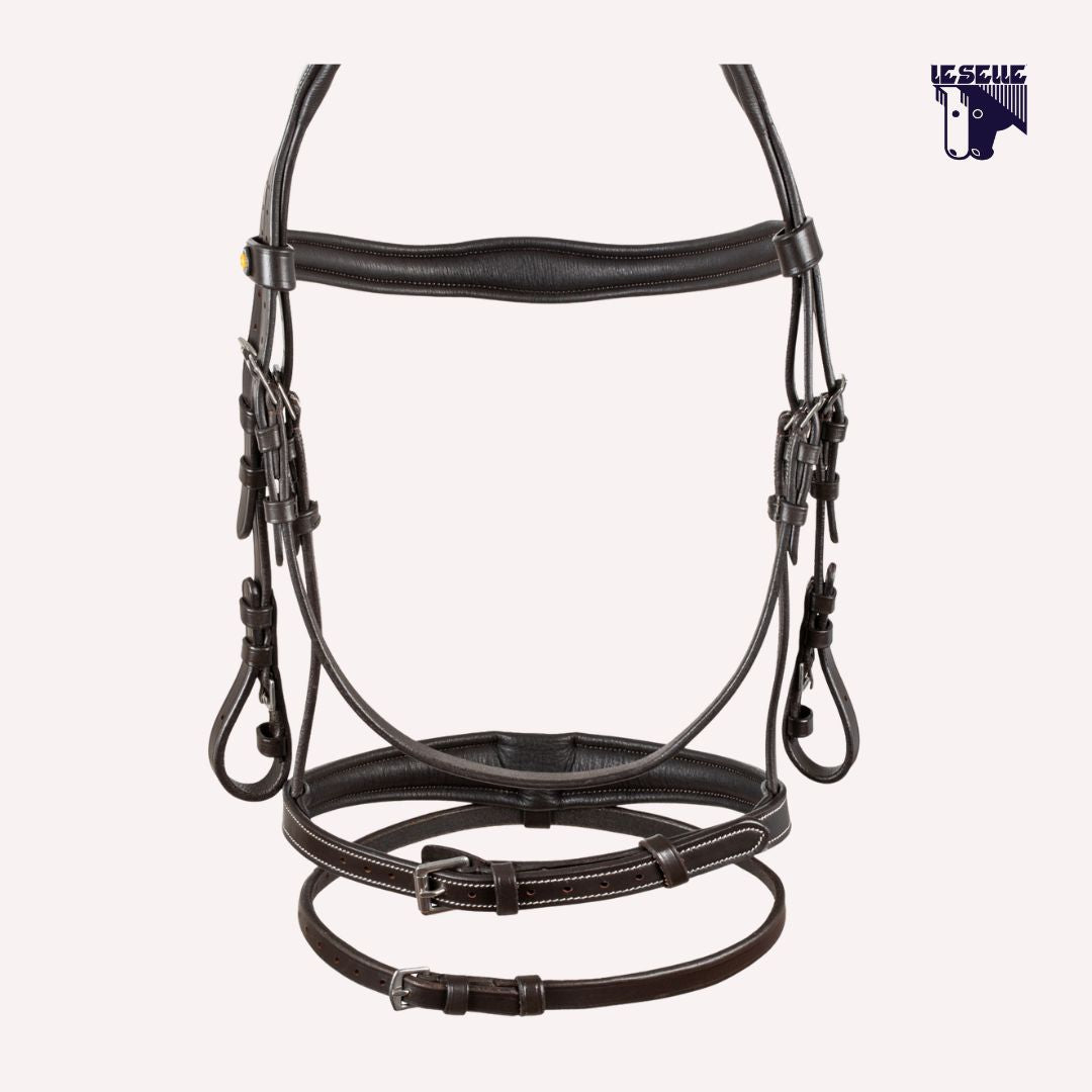 TESTIERA EQUESTRO RICAMI - MARRONE