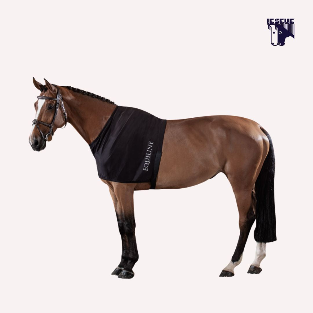SOTTO COPERTA LYCRA EDINBURGH EQUILINE - NERO