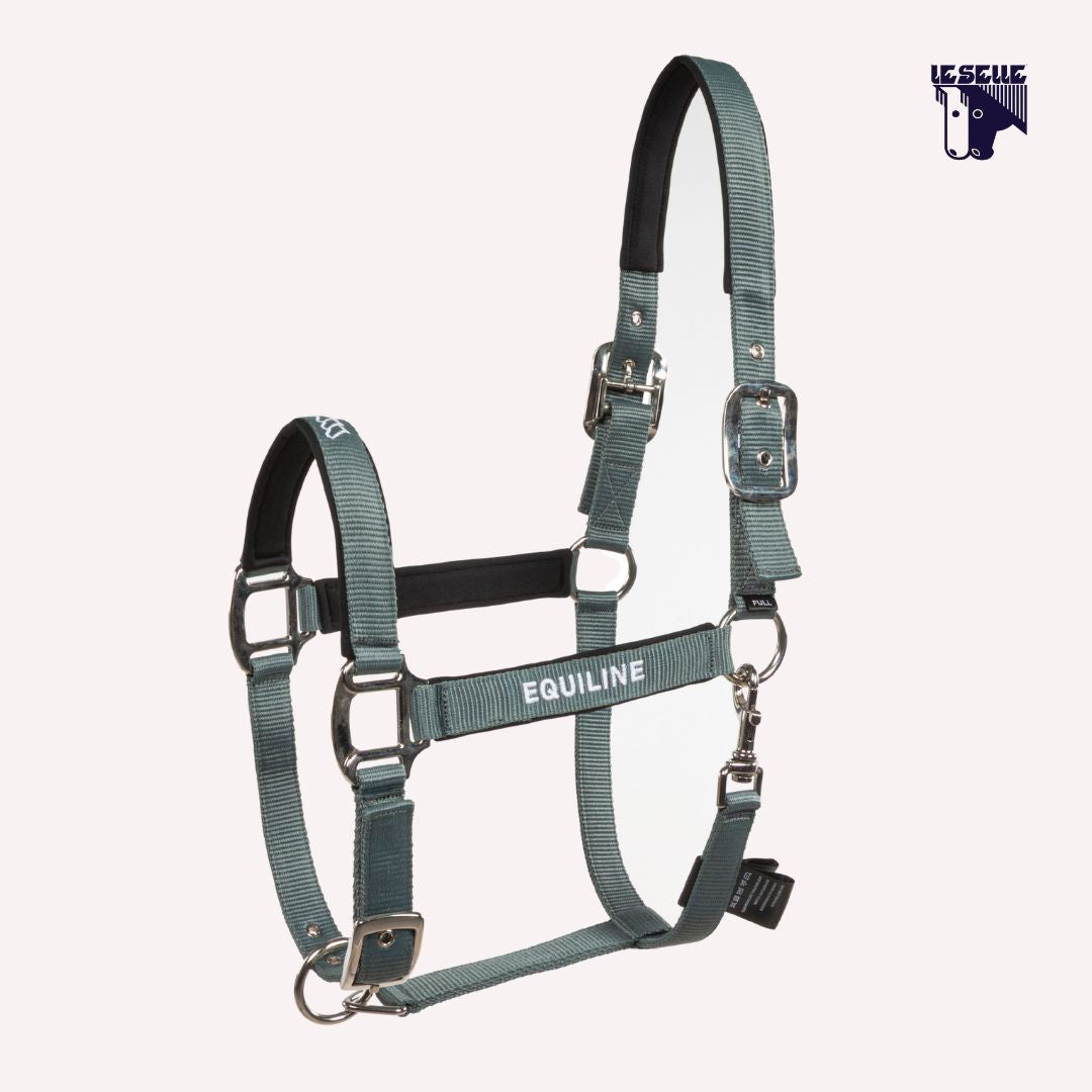CAVEZZA E LUNGHINA EQUILINE EQCALONG - FOREST GREEN